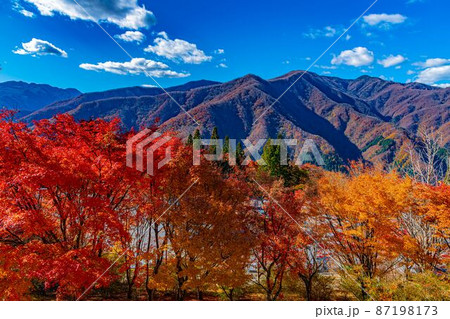【8K】秩父 紅葉【風景】 【8K】秩父 紅葉【風景】 87198173
