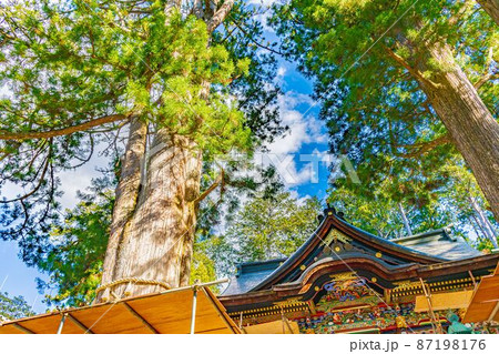 【8K】三峰神社【風景】 【8K】三峰神社【風景】 87198176