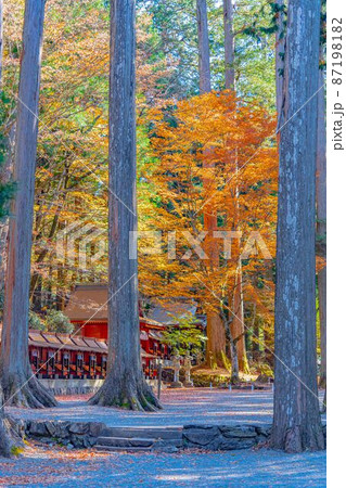 【8K】三峰神社【風景】 【8K】三峰神社【風景】 87198182