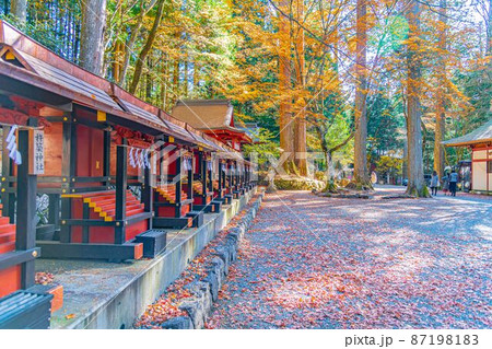 【8K】三峰神社【風景】 【8K】三峰神社【風景】 87198183