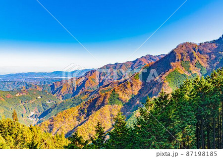 【8K】秩父 紅葉【風景】 【8K】秩父 紅葉【風景】 87198185