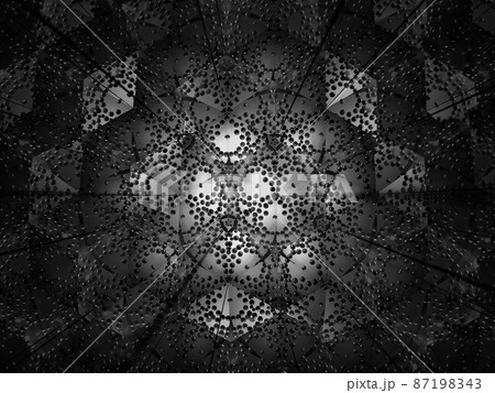 カレイドンスコー プブラック6 87198343