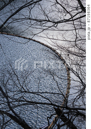 冬の湖　12月　奥多摩湖 87198364