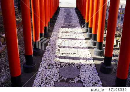 道念稲荷神社 連なる鳥居の参道 ~横浜市鶴見区~ 道念稲荷神社 連なる鳥居の参道 ~横浜市鶴見区~ 87198532