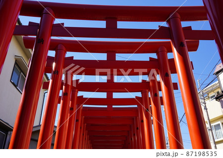 道念稲荷神社 連なる鳥居 ~横浜市鶴見区~ 道念稲荷神社 連なる鳥居 ~横浜市鶴見区~ 87198535