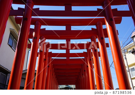 道念稲荷神社 連なる鳥居 ～横浜市鶴見区～ 87198536