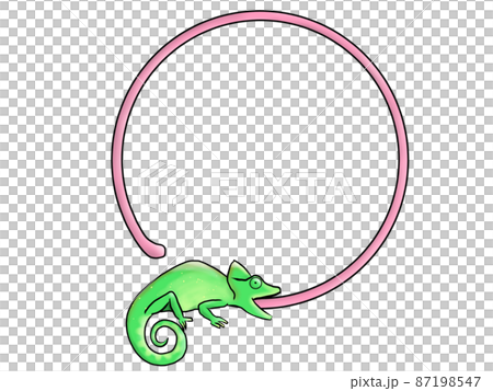 變色龍 frame_circle_rightward 變色龍 frame_circle_rightward 87198547