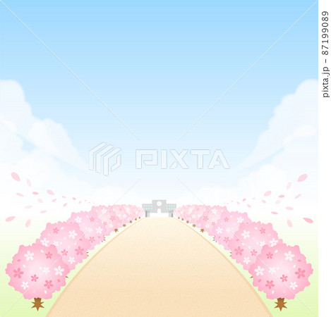 学校へと続く桜並木 入学式と卒業式 87199089