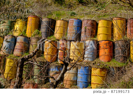 Colorful stacked barrels behind deciduous apple trees with fallen leaves and fallen yellow apples in a field 87199173