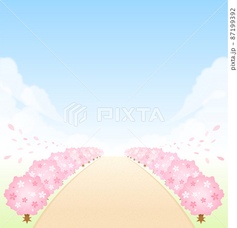 はるか遠くへ続く桜並木 入学式と卒業式 87199392