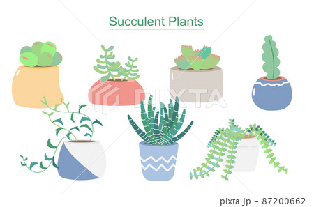 植物 工場 プランツ 87200662