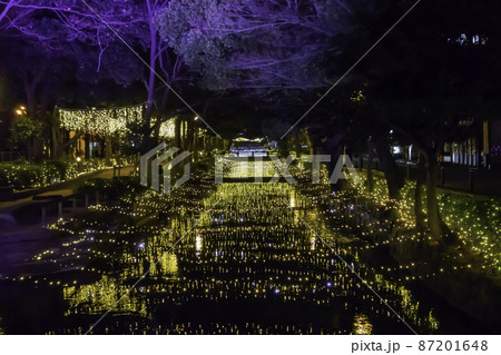 西川緑道公園　イルミネーション　西川イルミ　岡山県岡山市 87201648