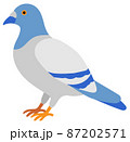 横を向いた一羽の鳩 87202571