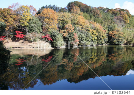 奈良県とっくりダム 奈良県とっくりダム 87202644