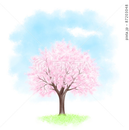 一本の桜の木と青空のイラスト素材 [87203048] - PIXTA