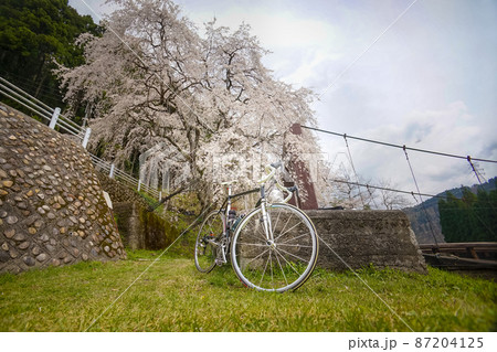 枝垂れ桜と吊り橋とロードバイク 枝垂れ桜と吊り橋とロードバイク 87204125