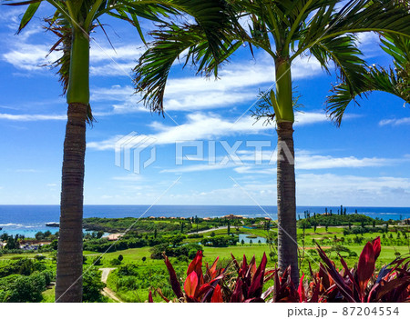 沖縄、宮古島シギラリゾートのヤシの木と青い海 87204554