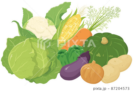 野菜の詰め合わせ 87204573
