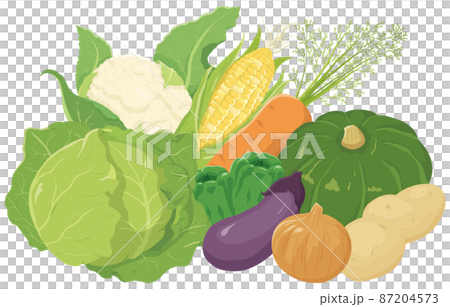 野菜の詰め合わせ 87204573