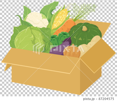 什錦蔬菜紙板 87204575