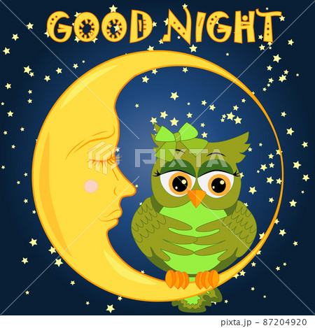 A sweet cartoon pink owl in a sleeping cap relaxes sitting on a sleeping sickle of the moon among a dark night sky and stars 87204920