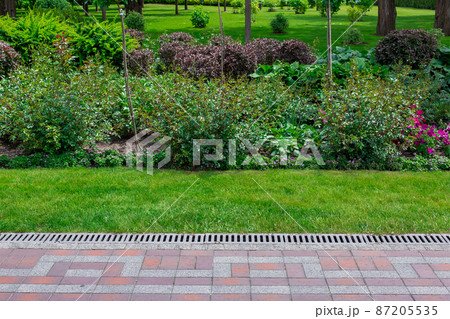 A drainage grate with an iron mesh at the edge of a pedestrian sidewalk in a park with a lawn with cut grass and a flower bed with various plants, bushes and flowers on a sunny spring day. 87205535