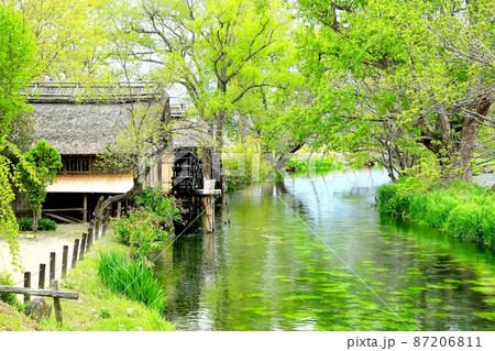 大王わさび農場の水車小屋 87206811