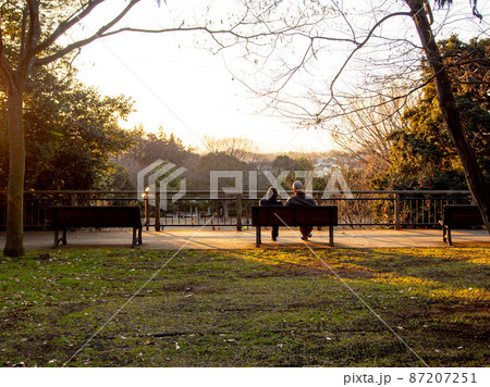 公園で語り合う二人 公園で語り合う二人 87207251
