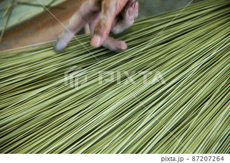 い草の選定 い草の選定 87207264