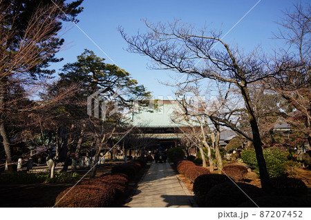 世田谷城の主要部であった曹洞宗の寺院であり招き猫発祥の地　豪徳寺 87207452