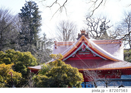 晴天　銅板張替工事が終わった井の頭弁財天が佇む東京・武蔵野市・三鷹市の恩賜井の頭公園 87207563