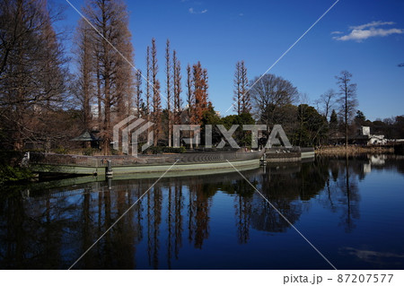 晴天　銅板張替工事が終わった井の頭弁財天が佇む東京・武蔵野市・三鷹市の恩賜井の頭公園 87207577