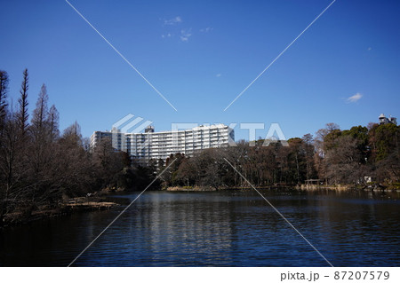 晴天　銅板張替工事が終わった井の頭弁財天が佇む東京・武蔵野市・三鷹市の恩賜井の頭公園 87207579