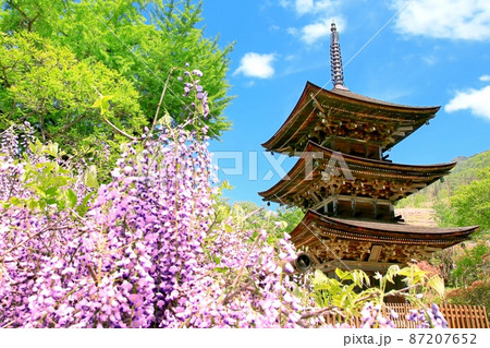 前山寺三重塔と藤の花 前山寺三重塔と藤の花 87207652