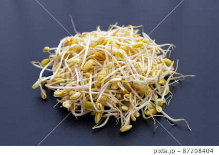 Fresh soybean sprouts for cooking. Fresh soybean sprouts for cooking. 87208404