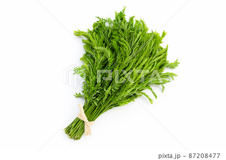 Leucaena leucocepphala on white background. 87208477