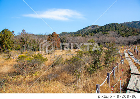 冬枯れの湿原風景 冬枯れの湿原風景 87208786