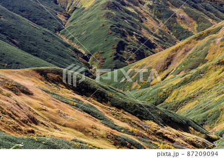 谷川連峰縦走路から見る草紅葉の阿弥陀沢源流 谷川連峰縦走路から見る草紅葉の阿弥陀沢源流 87209094