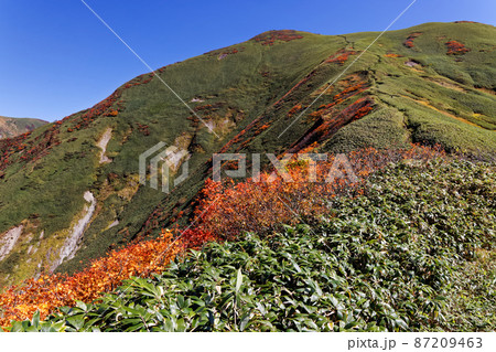 谷川連峰縦走路から見る紅葉のオジカ沢ノ頭 87209463