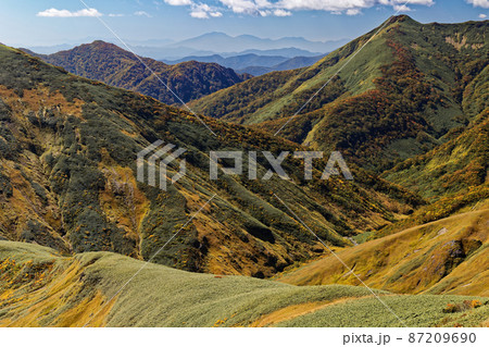 谷川連峰縦走路から見る草紅葉の阿弥陀沢 87209690