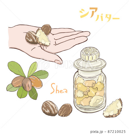 シアバター・手のひらにシアバター・シアバターの入ったガラス瓶 シアバター・手のひらにシアバター・シアバターの入ったガラス瓶 87210025