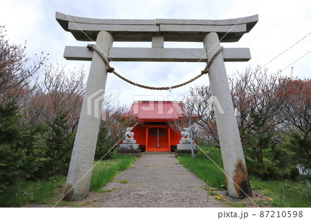 北海道　江差　かもめ島　厳島神社 87210598