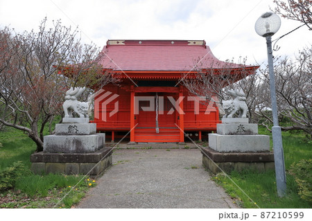 北海道　江差　かもめ島　厳島神社 87210599