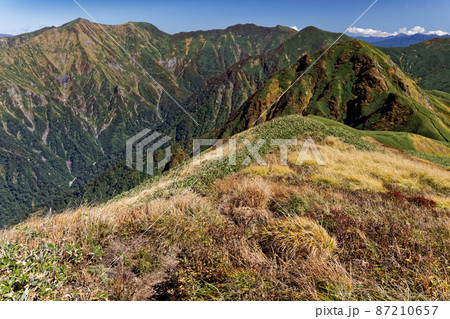 万太郎山の登りから見る谷川連峰の山並み 万太郎山の登りから見る谷川連峰の山並み 87210657