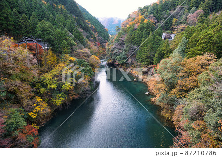 数馬峡橋から見る奥多摩の紅葉1 87210786