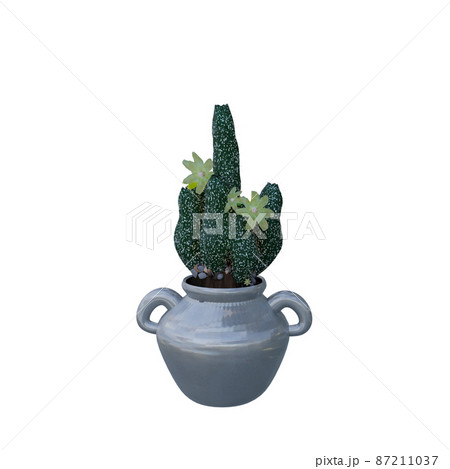 Cactus Plant in pot isolated on white background. 87211037
