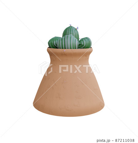 Cactus Plant in pot isolated on white background. 87211038