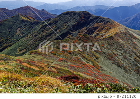 万太郎山から見る紅葉の谷川連峰縦走路 87211120