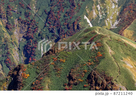 谷川連峰・万太郎山から見る紅葉の縦走路 谷川連峰・万太郎山から見る紅葉の縦走路 87211240