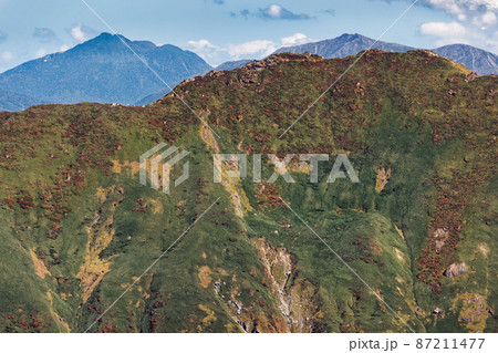 万太郎山から見る谷川岳・オキの耳と至仏山・燧ヶ岳 87211477
